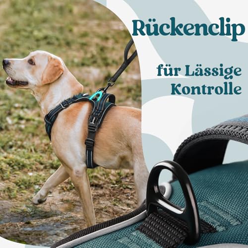 rabbitgoo Hundegeschirr Grosse Hunde, Verstellbare Geschirr Hund ohne Zug & Würgen, Anti Zug hundegeschirr mit Griff, weich Gepolsterte Reflektierende Brustgeschirr, Dunkelgrün L