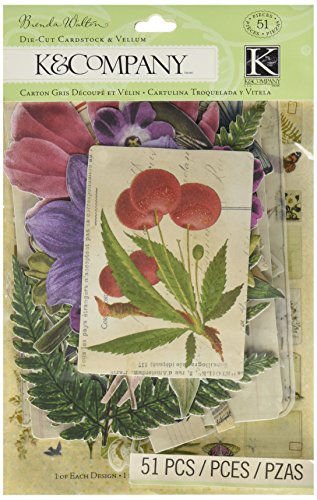 K&Company Brenda Walton Flora & Fauna Die-cut Cardstock and Vellum