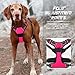 BARKBAY No Pull Dog Harness Front Clip Heavy Duty Reflective Easy Control Handle for Large Dog Walking(Pink,L)