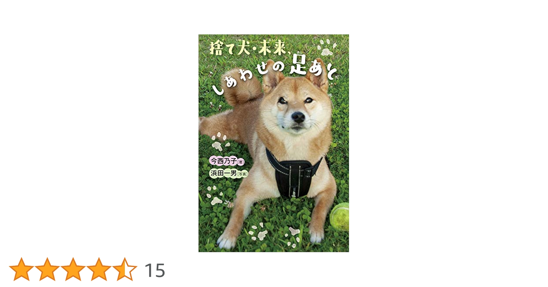 捨て犬・未来、しあわせの足あと (ノンフィクション・生きる