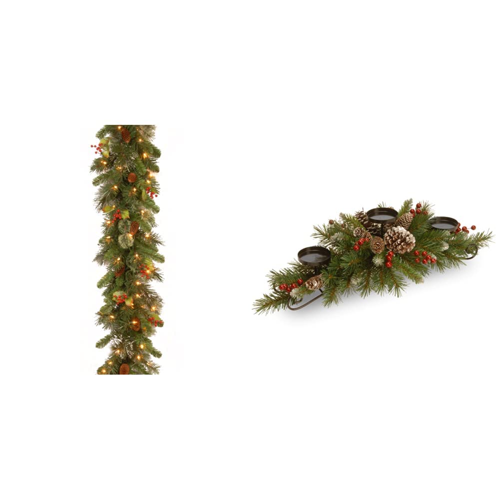 National Tree Company PreLit Artificial Christmas Garland, Green
