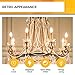 Hizashi E12 Candelabra LED Light Bulb 40 Watt 90+CRI Chandelier Light Bulbs Dimmable, B10 LED Candelabra Bulbs, 4W, 450LM 2700K Soft White, Candle Light Bulbs, UL Listed, 12 Pack
