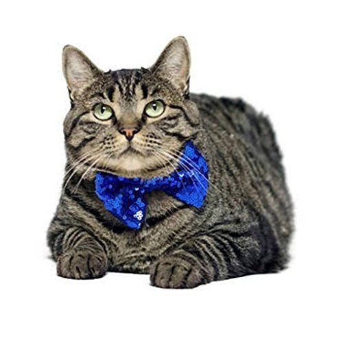 Cute Small Dog Cat Birthday Party Cone Hat Crown And Bow Tie Collar Set With And Pom-Pom Topper For Pets Cat Kitten Cosplay Costume Accessory Charms Grooming Headwear Hair Accessories #TOP1