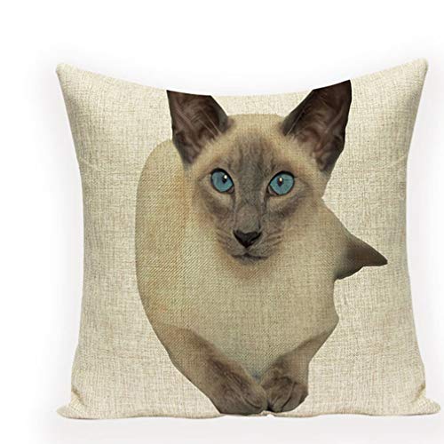 Nunbee Housse de Coussin Chat Siamois-1 désign Cadeau Decoration canapé scandinave Deco Throw Decoration Coussin Décoration de Voiture, Chat1 45*45cm Cover