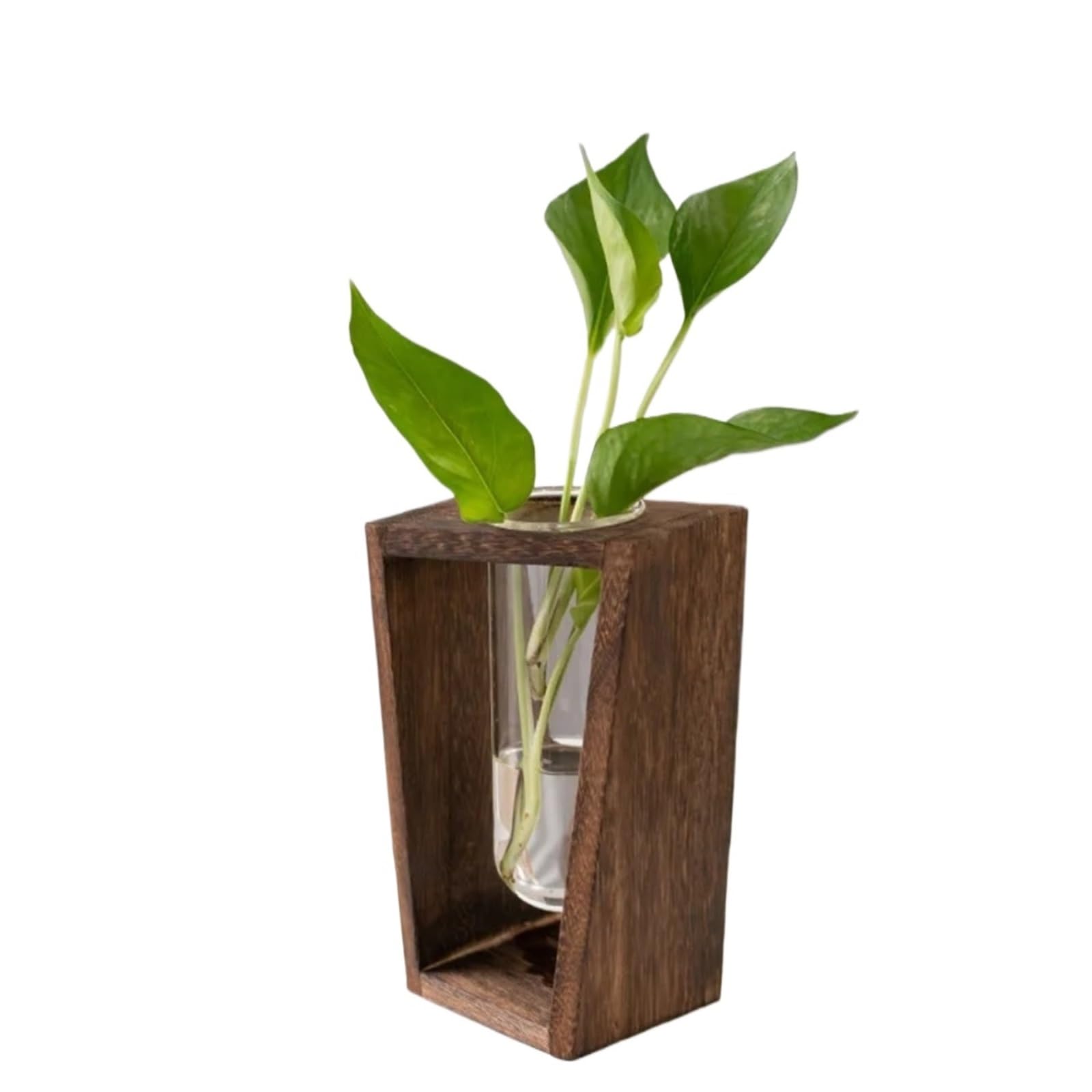 Simple Hydroponic Green Plant Vase Test Tube Wooden Frame Flower Arrangement Decorative Tabletop Plants Home Decor(Color3)