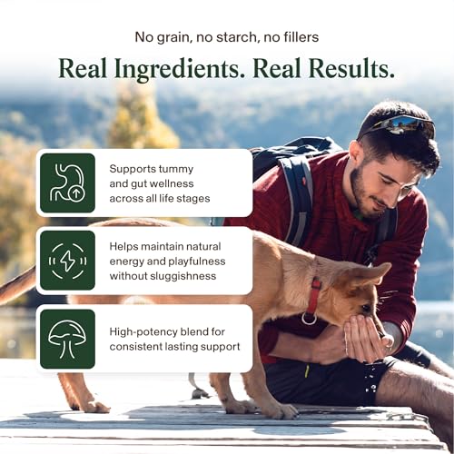 Mushroom Blend For Dogs With Cancer