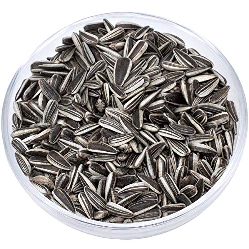 Preisvergleich Produktbild Agrarzone Sonnenblumenkerne gestreift 25 kg / Natürlicher Energielieferant für körnerfressende Vögel / Staubfreies Ganzjahres-Vogelfutter für Balkon, Garten / Naturbelassenes Futter aus Österreich