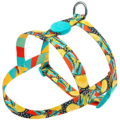 Toh Conjunto Peitoral Tradicional E Guia Tucano P