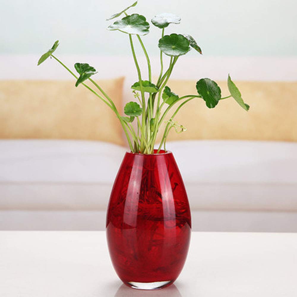 Tall Red Vase Decor For You