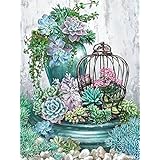 OWN4B クロスステッチ刺繍キット図案印刷、11ct 多肉植物とケージ 初心者向けの簡単な刺繍セット36x46cm Cross Stitch