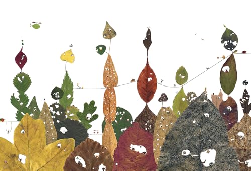 È Tutto Da Scoprire. Ediz. A Colori - 4