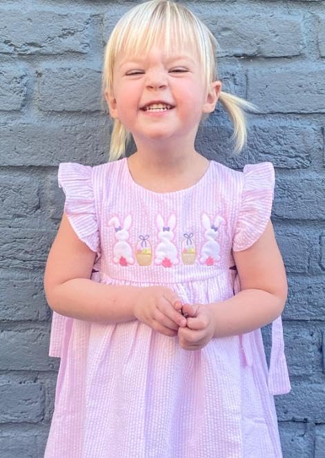 Toddler Baby Girl Birthday Dress Silly Goose Birthday Outfit A Line Party Princess Dresses Kids Summer Clothes - Image 3