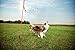 Tether Tug Dog Toy - Medium, Dogs 15-35 lbs