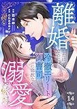 離婚したはずなのに、冷徹エリート御曹司に容赦なく溺愛されています１４ (チェリッシュ)