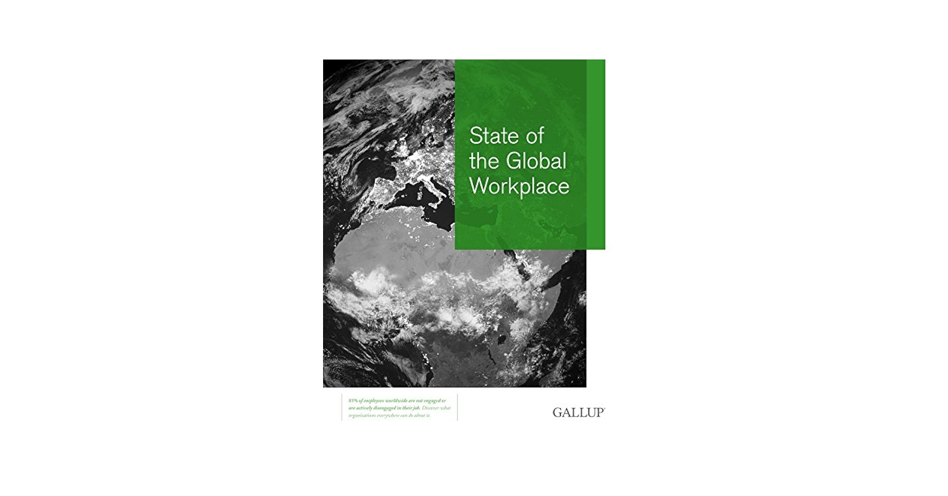 洋書 In defense of globalization In Defense of Globalization Jagdish Bhagwati First Edition