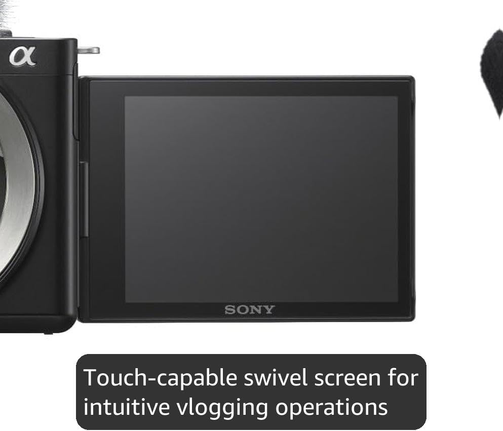 Sony Alpha ZV-E10 APS-C Mirrorless Interchangeable Lens Vlog Camera + LCSU11B camera case