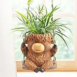 CIYSHO Swing Highland Cow Hanging Planters for Indoor Plants, Cute Small Planter Pot for Indoor Outdoor Plants, Succulent Pots with Drainage Hole, Unique Funny Hanging Plant Flower Pot, Gift Ideas