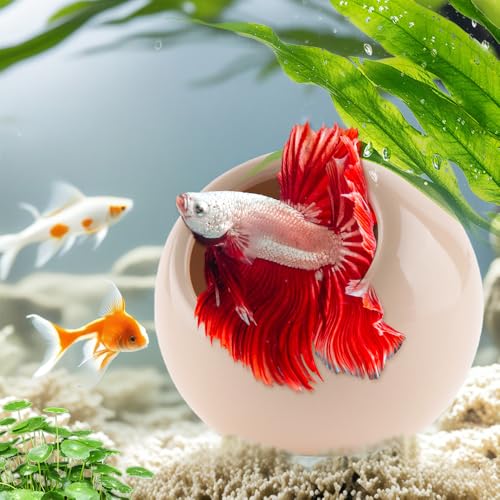Image of DQITJ Aquarium Decor Ceramic Cave Betta Fish Tank Hideout Stone Fast Landscape Ceramic Ornament for Fish Shrimp Turtle (Orange)
