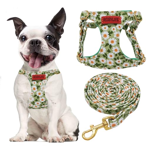 No Pull Dog Harness Adjustable Small pet Harness and Leash Set, Lightweight and Soft Dog Harness No Choke Escape Proof Pet Harness Vest (Green Daisy, S)