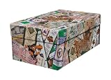 That's My Ticket MLB Baltimore Orioles Souvenir Gift/Photo Box, One Size, Multi