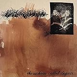 Sarah Kofman 10-15-94