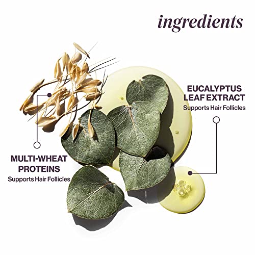 Pureology Pure Volume Shampoo And Conditioner Bundle | For Flat, Fine, Color-Treated Hair | Sulfate-Free | Vegan | Updated Packaging | 9 Fl. Oz. #TOP4