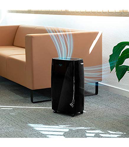 Cecotec Deshumidificador Bigdry 4000 Expert 2,5 L Negro