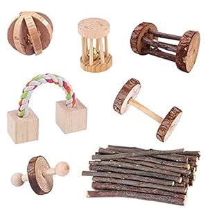 Ashley GAO Bunny Chew Speelgoed Set van 7 stks Natuurlijke Hout Speelgoed voor Chinchilla Hamster Papegaai Konijn…