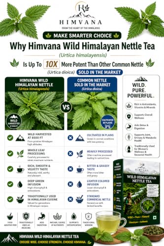 Image of Wild Himalayan Nettle, Urtica Himalayensis from 8500 feet. Whole Leaves. Premium Herbal Tea. Rich and Velvety Taste. Rich in Antioxidants, Vitamins & Minerals. Traditionally used for Pain Relief, Detox as well in Himalayan Food Recipes. Grows only in High Altitude in Himalayas. 50 GM