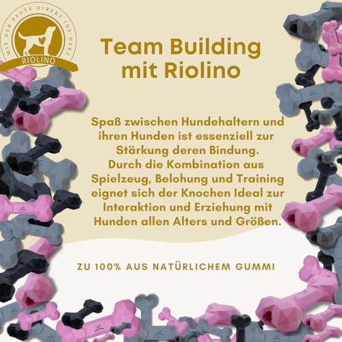 Kauspielzeug für Hunde Kauknochen robust & langlebig: Hundespielzeug gegen Langeweile aus Naturkautschuk für aggressives kauen - befüllbar, robust & gut für die Zahnpflege | Farbe: Grau, Größe: S