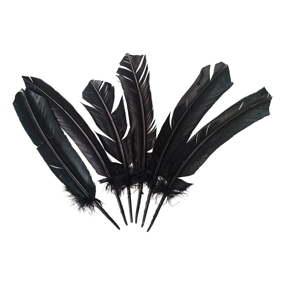 Turkey Feather Black, Pack of 6