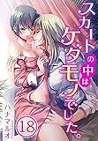 スカートの中はケダモノでした。(18) (TLスクリーモ)