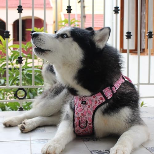 Image of Pupcicle Party No-Pull Dog Harness, M (14-20kg, 22-30 inch)