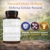 Moringa, Guanabana & Curcuma (Moringa, Soursop, Turmeric) 90 Capsules 1500 mg per Serving Powerful Blend of 100% Natural Premium Ingredients, Vegetable, cultivada organicamente |organically Grown