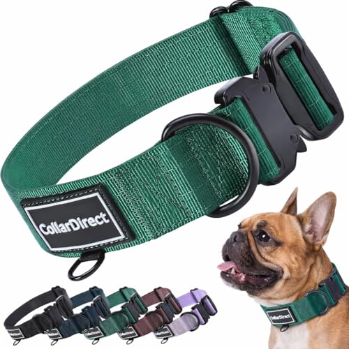 Robustes Hundehalsband für Große & Mittelgroße Hunde – Verstellbar, Doppellagiges Nylon, Metallschnalle, Reißfest & Ideal für Aktive Hunde (Grün, Klein (28-38 cm))