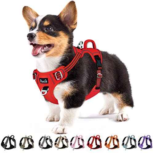 Eyein Small Dog Harness, Anti Pull, Adjustable, Heavy Duty Pet Vest with 2 Clips, Escape Proof