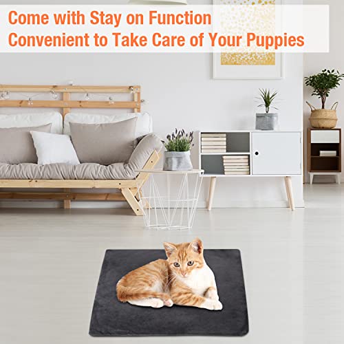 Enjoy Pet Dog Heating Pad, Pet Heating Pad With 12 Level Timer And Temperature, Indoor Pet Heating Pads For Cats Dogs With Chew Resistant Cord, Long-Time Working Electric Pet Heated Mat #TOP5