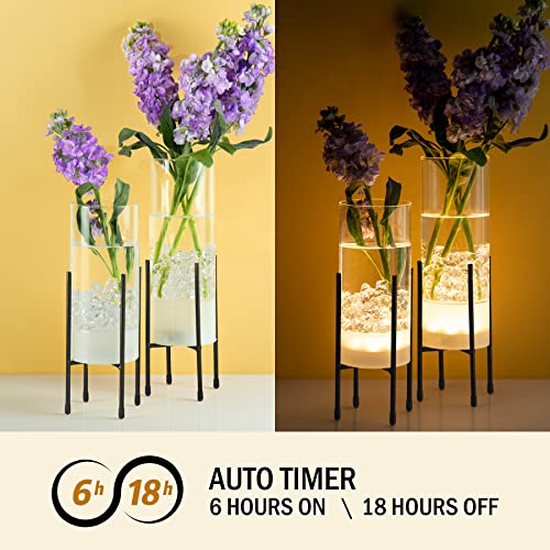 Flower Vase For Decor, Glass Table Vase Set For Flowers Plants, Clear Vase With Black Stand, Modern Decorative With Timer Led Lights Battery Operated,Centerpiece/Wedding/Party(Set Of 2) #TOP1