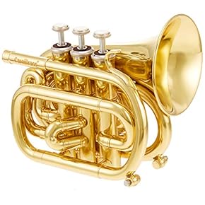 ポケットトランペット 金 オイル付き ポケット トランペット」の人気商品一覧 | 安い商品を通販サイト