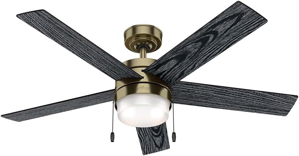 Hunter Fan Company 59622 Claudette Ceiling Fan, 52, Modern Brass Finish