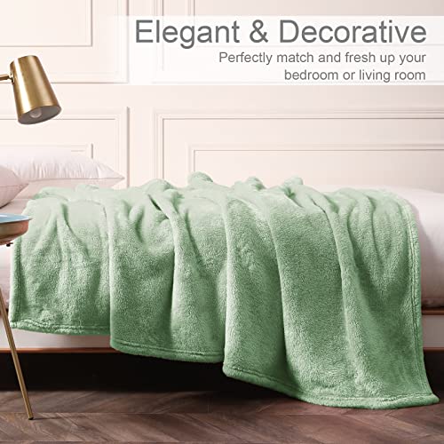 Whale Flotilla Plush Faux Fur Throw Blanket For All Seasons, Super Soft Breathable Fluffy Fleece Blanket For Couch/Sofa/Camping/Travel, Extra Large And Lightweight, 50X70 Inch, Light Green #TOP3