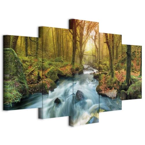 B&D XXL - Quadro Acustico Paesaggio Cascata 5 pezzi schiuma acustica Quadri Moderni Camera da Letto - Stampa su Tela - Pannelli Fonoassorbenti Decorativi - Fonoassorbente Acustiche