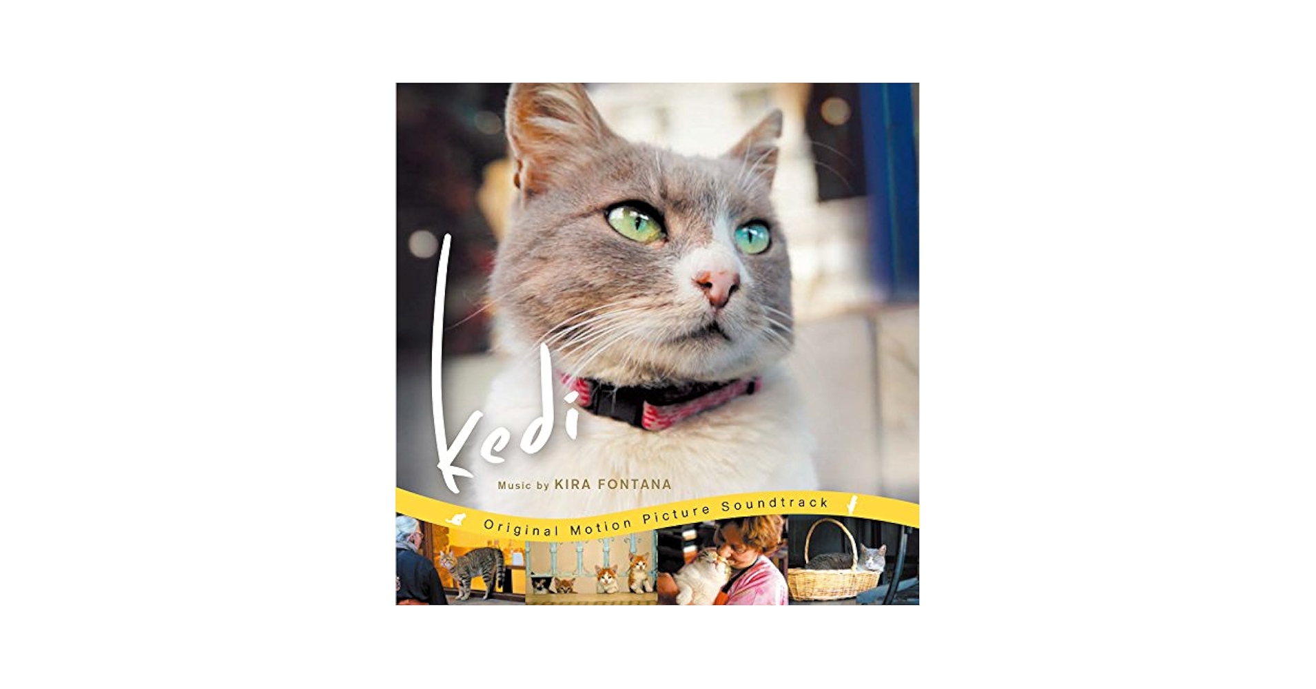 猫が教えてくれたこと('16トルコ)DVD Amazon.co.jp: 猫が教えてくれたこと DVD : ドキュメンタリー