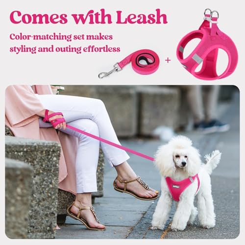 Image of rabbitgoo Dog Harness Small Sized and Leash Set, Step-in Puppy Pet Vest