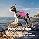 VIVAGLORY Neoprene Schwimmweste Hund, Rettungsweste Hund für Bootfahren, Schwimmweste, Schwimmhilfe & Leichte, L, Himbeer Pink