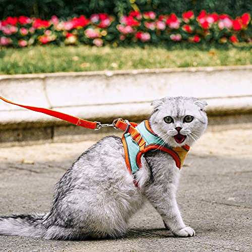 Jsxd Cat Harness,Leash And Collar Set,Escape Proof Kitten Vest Harness For Walking,Easy Control Night Safe Pet Harness With Reflective Strap And Bell For Small Large Kitten,Fit For Puppy,Rabbit #TOP2