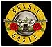 Sticker Guns N' (and) Roses Band Name & Logo Art Heavy Metal Rock Music Decal