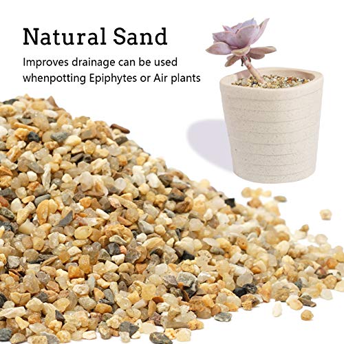 Image of 5 lb Coarse Sand Stone - Succulents and Cactus Bonsai DIY Projects Rocks, Decorative Gravel for Plants and Vases Fillers,Terrarium, Fairy Gardening, Natural Stone Top Dressing for Potted Plants.
