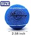 Magicorange Tennis Balls, 12 Pack Advanced Training Tennis Balls Practice Balls, Pet Dog Playing Balls, Come with Mesh Bag for Easy Transport, Good for Beginner Training Ball (Blue)