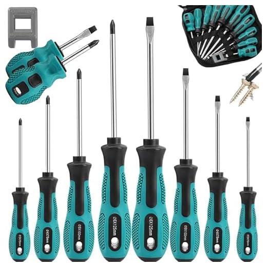 10-Piece Heavy Duty Screwdriver Set